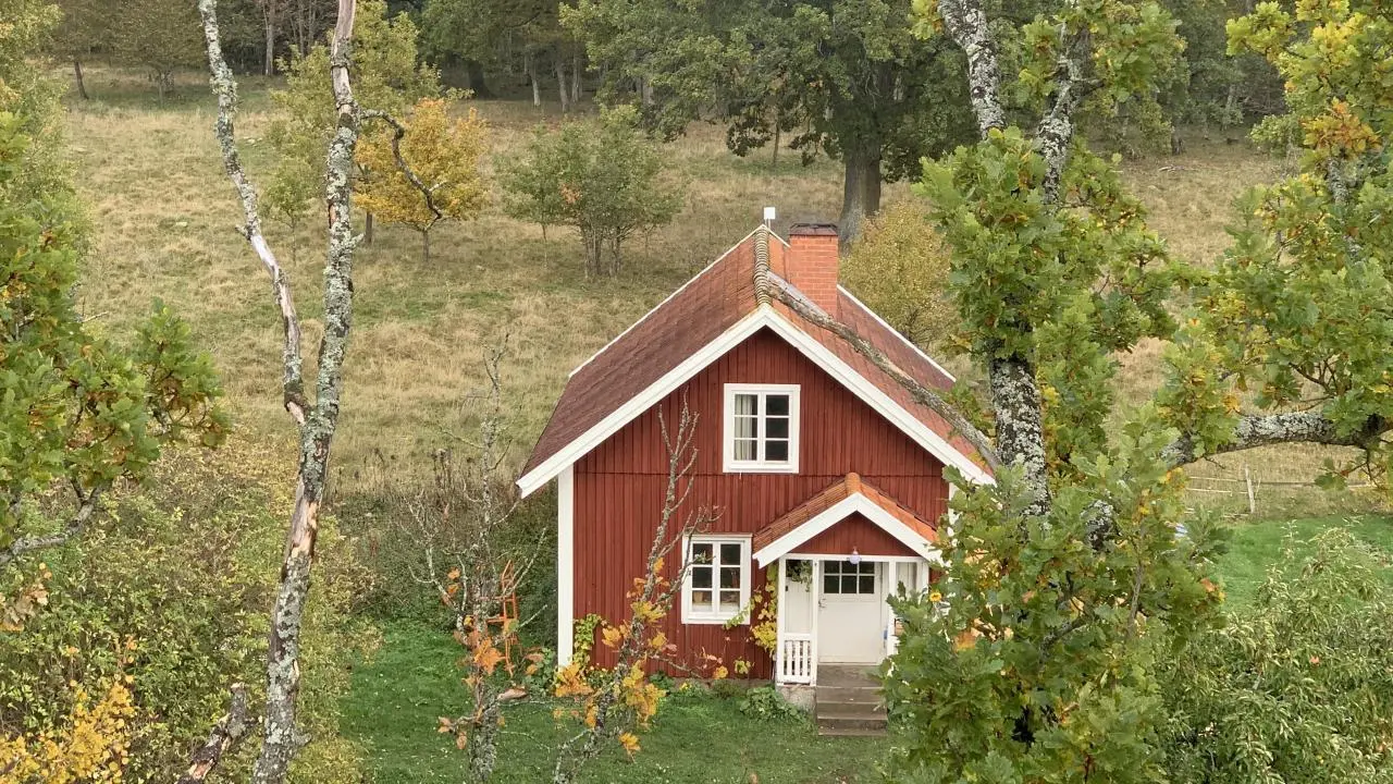 Nyhetsbrev